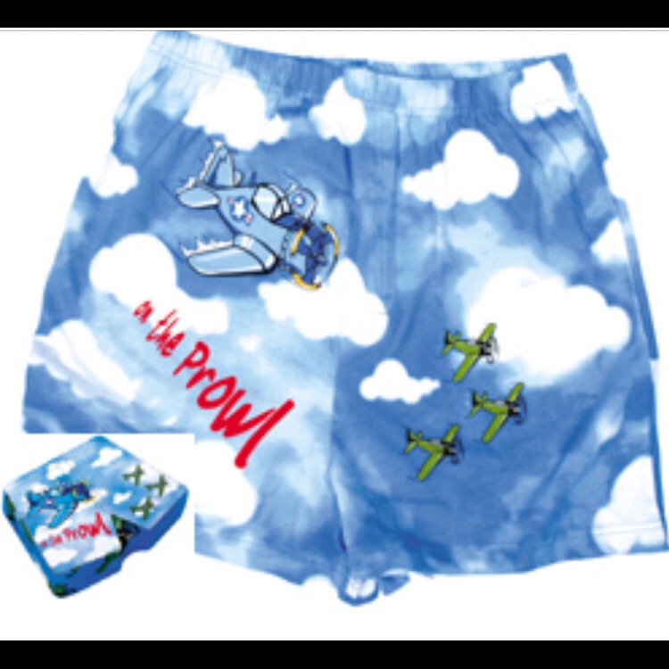Aviation Items
